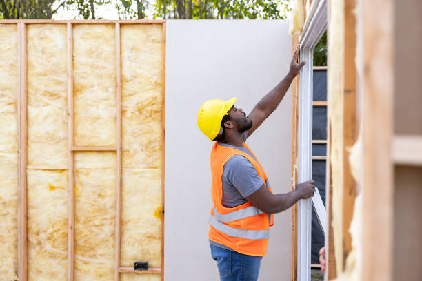 Professional Insulation Contractor in Mercedes, TX